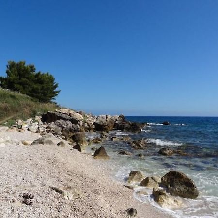 Villa Adamo Scopello  Εξωτερικό φωτογραφία